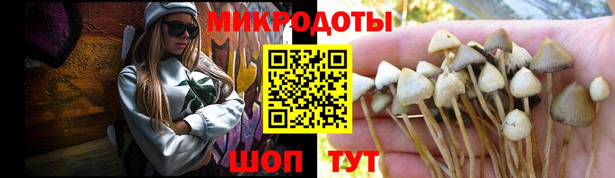 Лыткарино  Псилоцибиновые грибы прущие грибы  Галлюциногенные грибы Magic Shrooms  Вход с VPN 