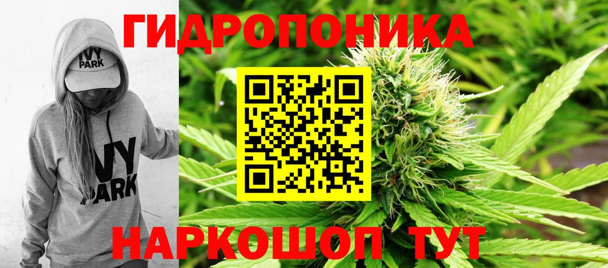 Канабис тримм  Вход с VPN  Лыткарино  Каннабис OG Kush  Марихуана планчик 